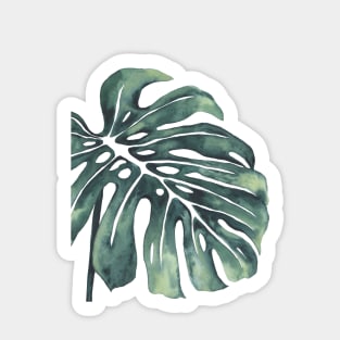 Monstera Half Leaf 4 Sticker